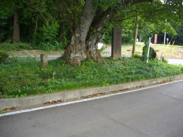 image0009