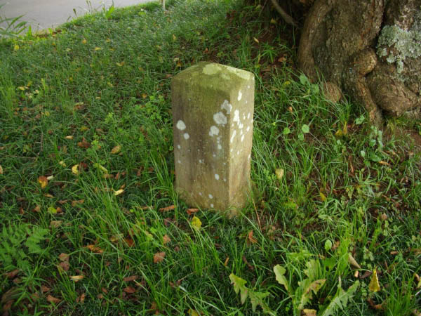image0010