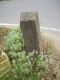 image0002