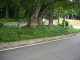 image0009