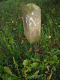 image0011
