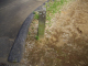 image0013