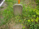 image0029