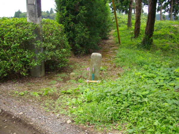 image0015