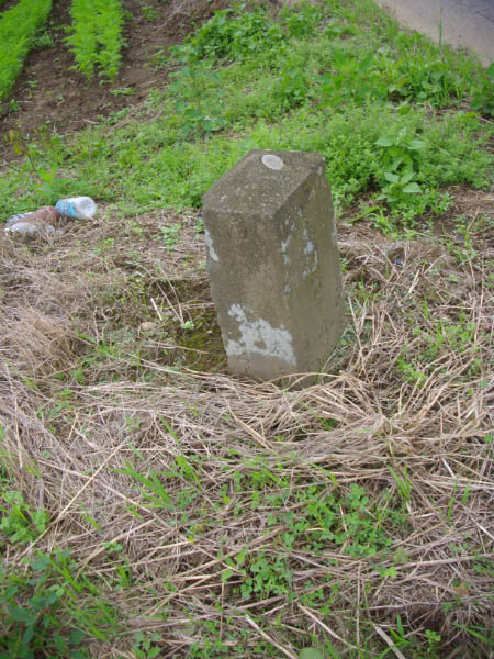 image0031