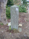image0005