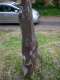 image0012