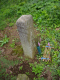 image0017