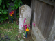 image0019