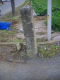 image0027