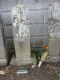 image0035