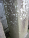 image0036