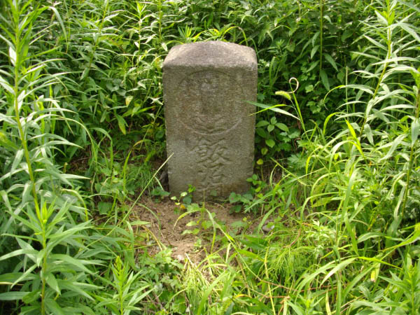 image0002