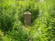 image0000