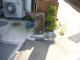 image0003