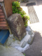 image0005