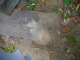 image0007