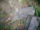 image0008