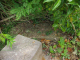 image0009