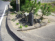 image0013