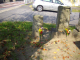 image0023