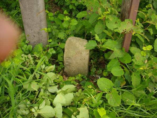 image0019