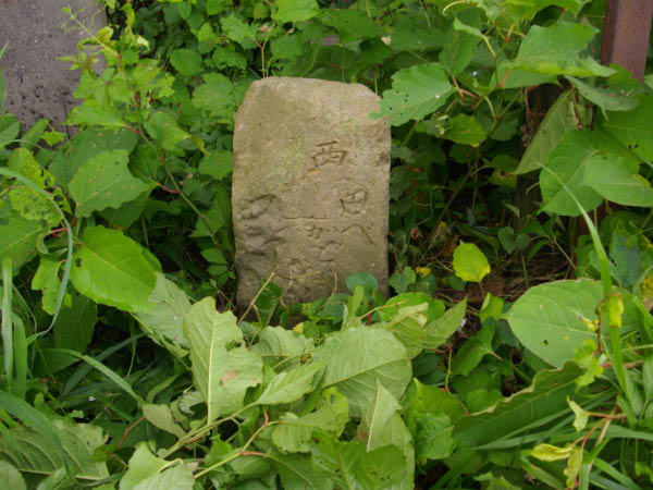 image0020