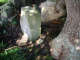 image0001