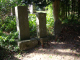 image0003