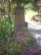 image0006