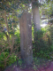 image0008