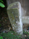 image0011