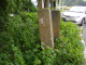 image0016