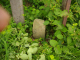 image0019