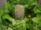 image0020