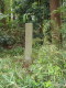 image0024