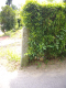 image0032