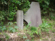 image0035
