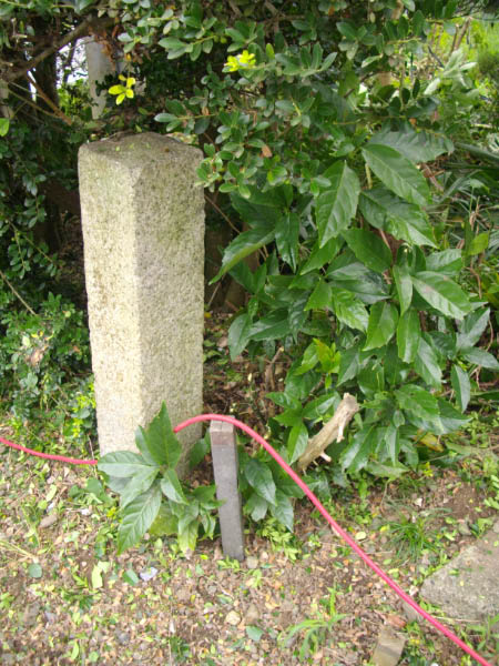 image0012