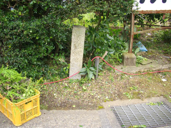 image0013