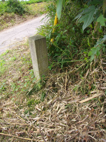 image0015