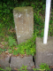 image0007