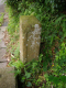 image0008