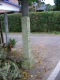 image0011