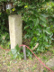 image0012