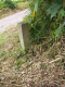 image0015