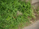 image0007