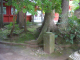image0074