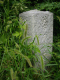 image0008