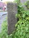 image0002